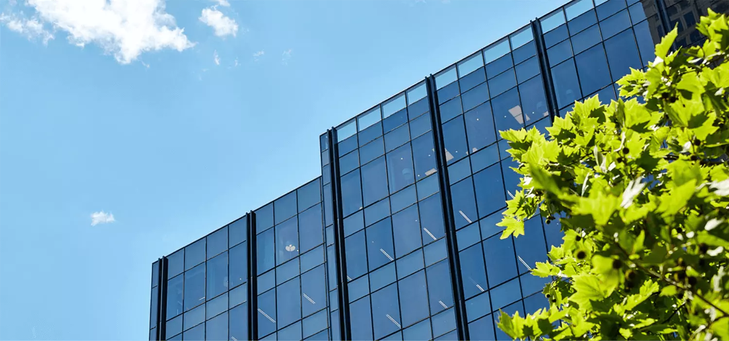 Flagship website redesign Digital Garden